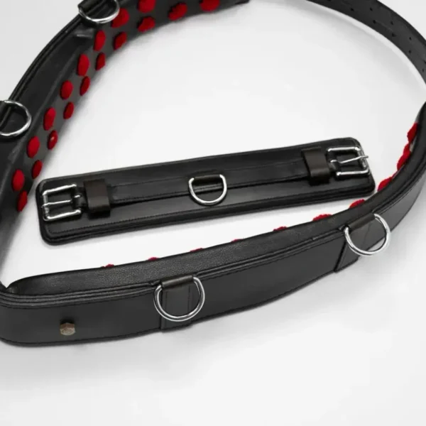 Тренинг система Lammert Haanstra