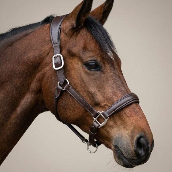 Кожаный анатомический недоуздок Runo