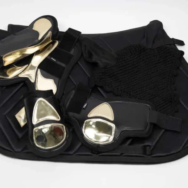 Комплект выездковый Titus