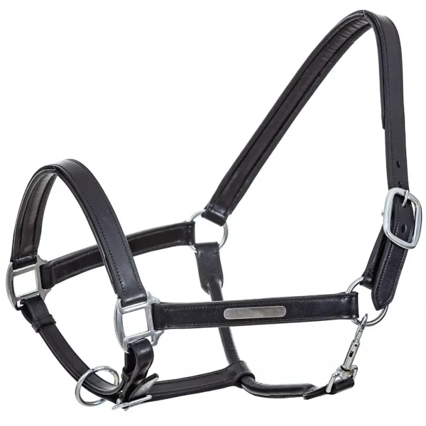 Кожаный недоуздок Galant PREMIUM