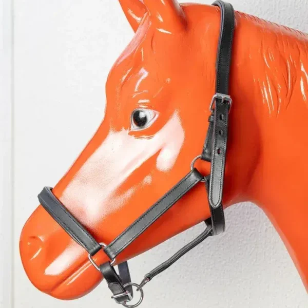 Кожаный недоуздок ECONOM HorsePlanet