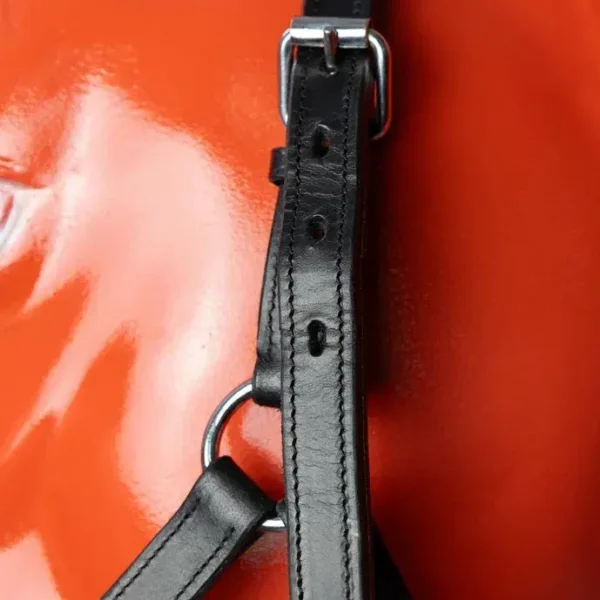 Кожаный недоуздок ECONOM HorsePlanet