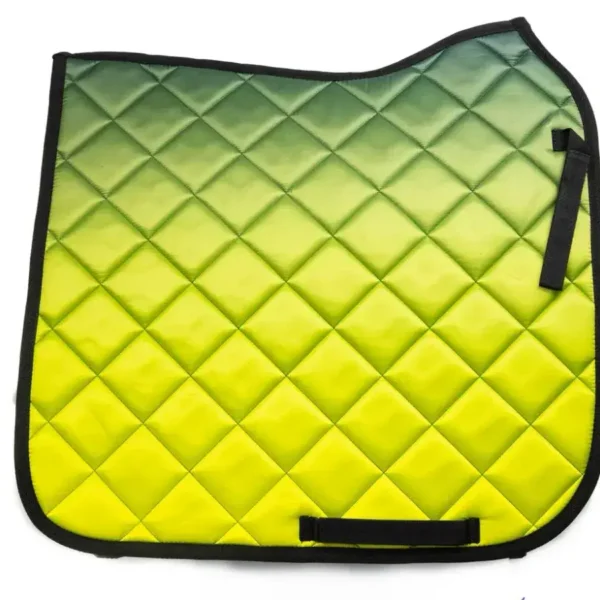 Выездковый вальтрап Vienna