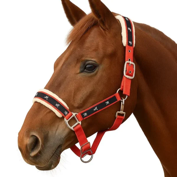 Недоуздок Lancer