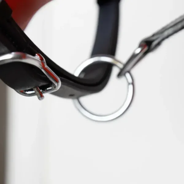 Кожаный недоуздок ECONOM HorsePlanet