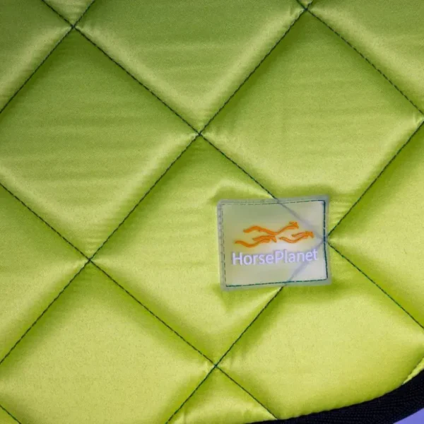 Выездковый вальтрап Vienna