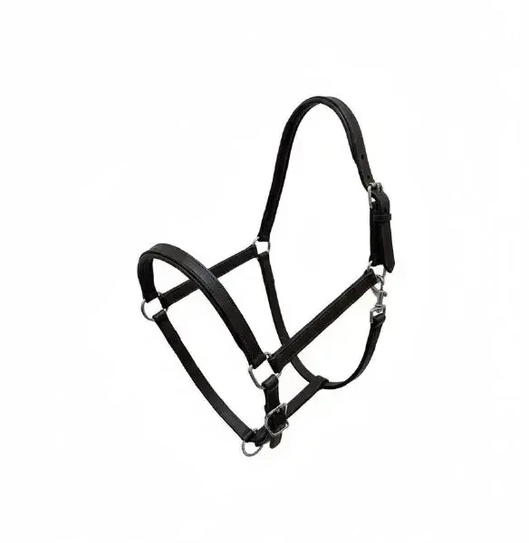 Кожаный недоуздок ECONOM HorsePlanet