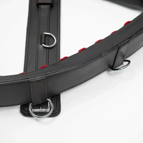 Тренинг система Lammert Haanstra