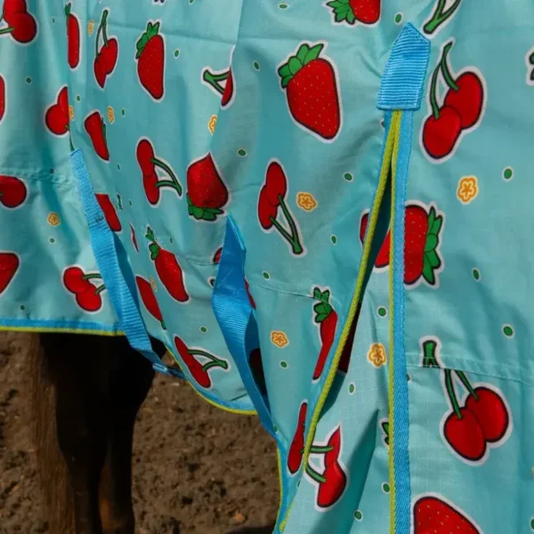 Дождевая попона fructis HorsePlanet