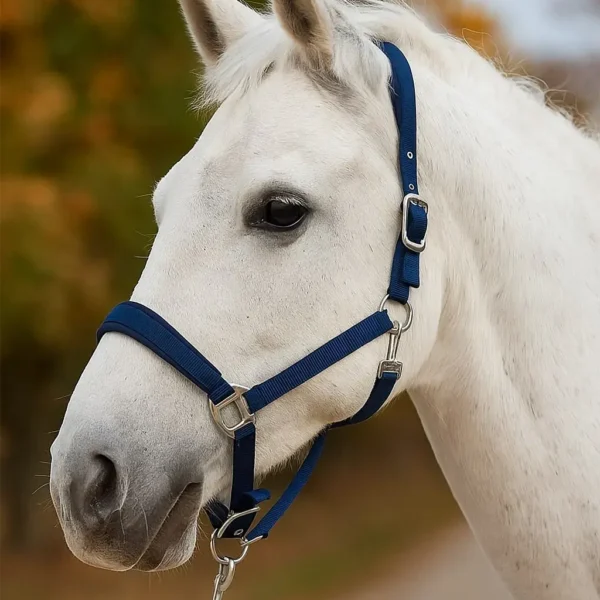 Недоуздок с неопреновой подложкой Garny