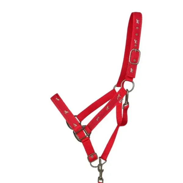 Недоуздок с нейлоновым чомбуром NETA