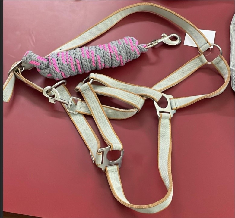 Недоуздок с чомбуром Ease