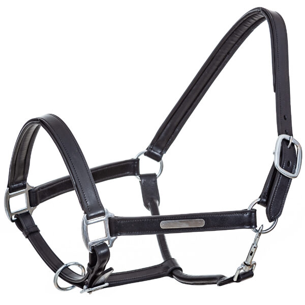 Кожаный недоуздок Galant PREMIUM