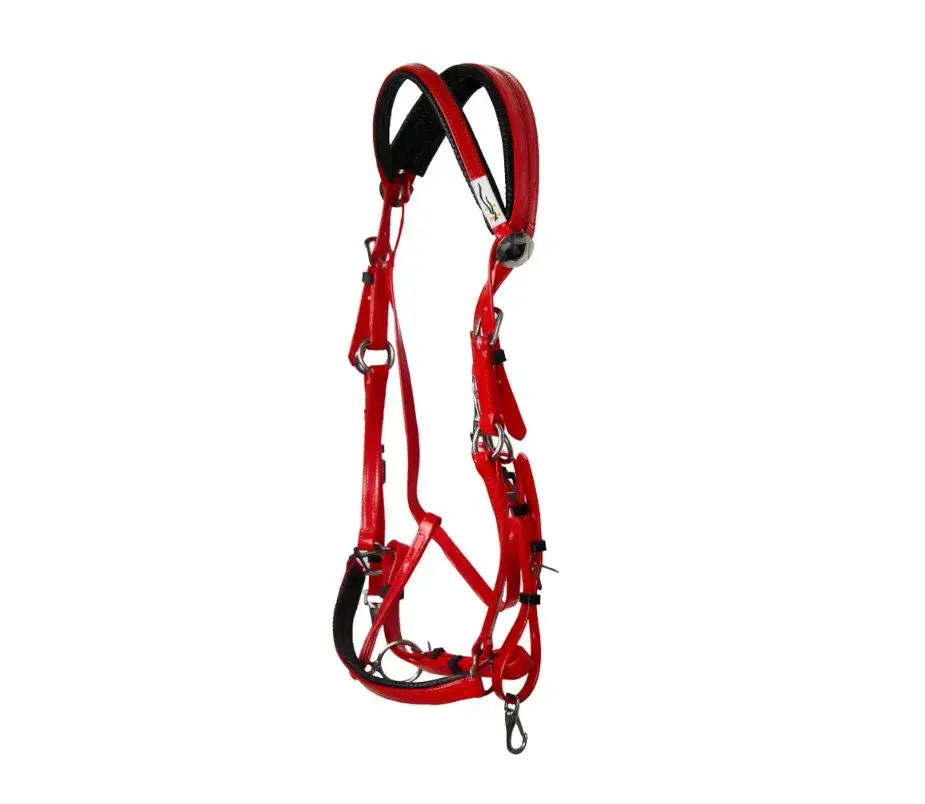 Комплект уздечка с мартингалом HorsePlanet