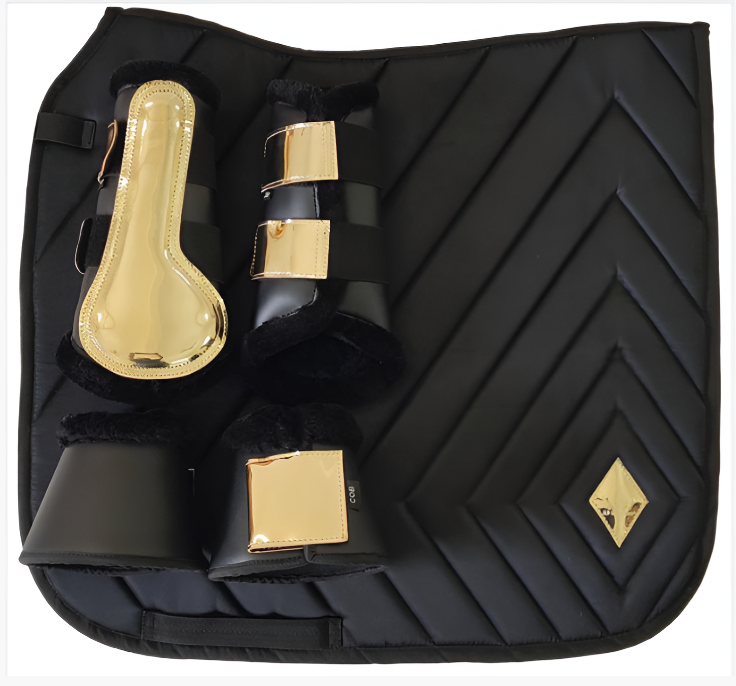 Комплект выездковый Titus