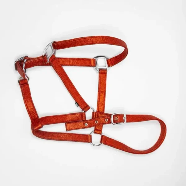 Комплект универсальный Apollo