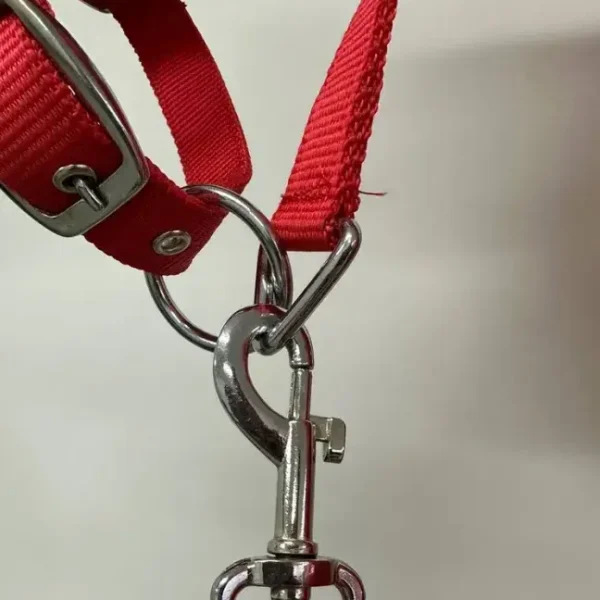 Недоуздок с нейлоновым чомбуром NETA