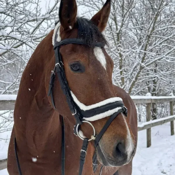 Трензельное оголовье с мехом comfort HorsePlanet