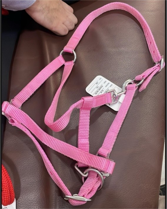 Недоуздок Baby