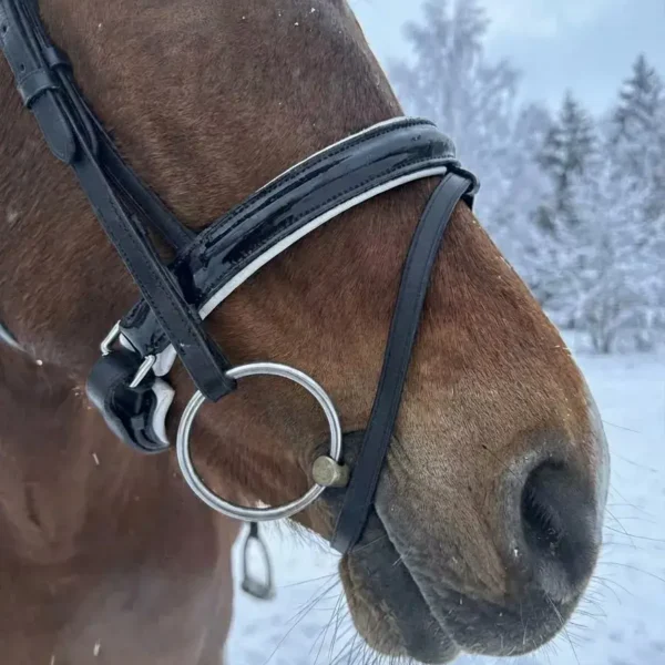 Трензельное оголовье Regina HorsePlanet