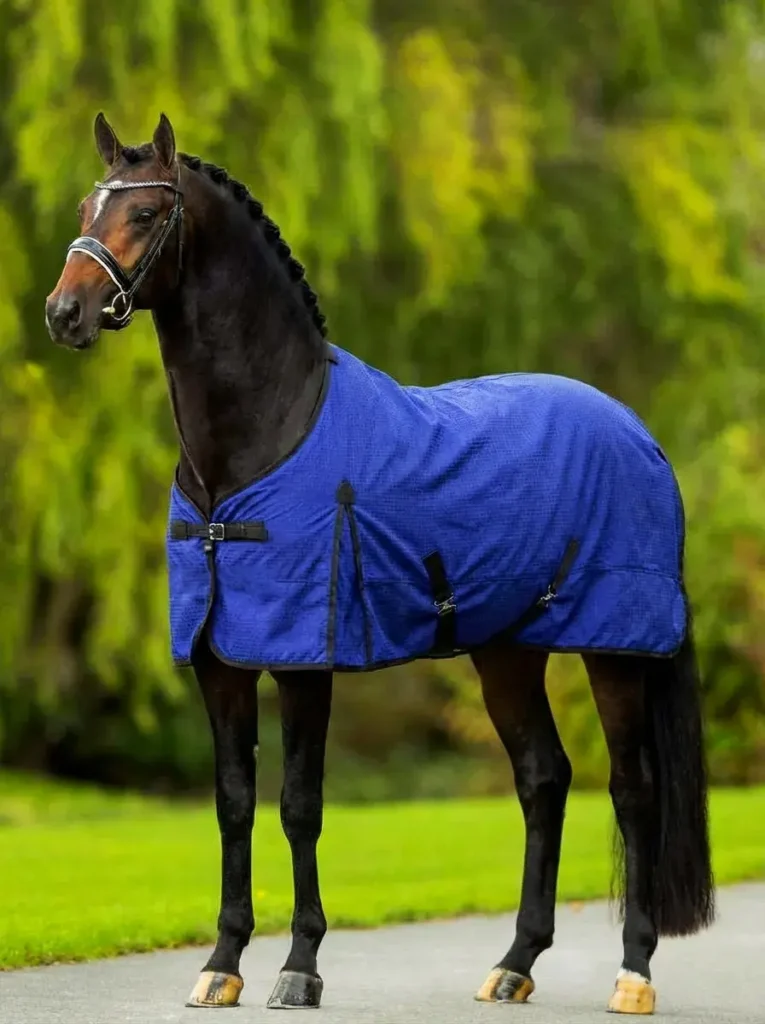 Попона стоковая синяя