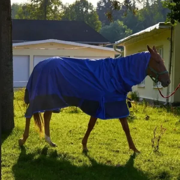 Попона дождевая HorsePlanet