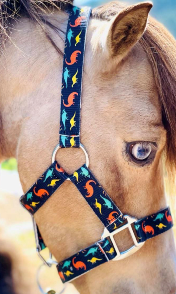 Недоуздок Funky Tunes