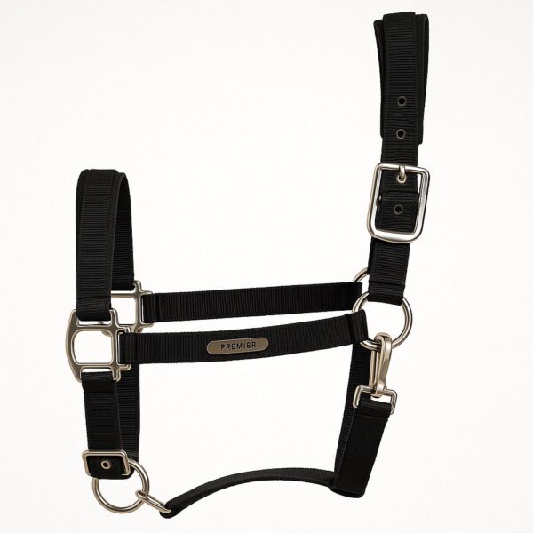 Недоуздок с неопреновой подкладкой Premier