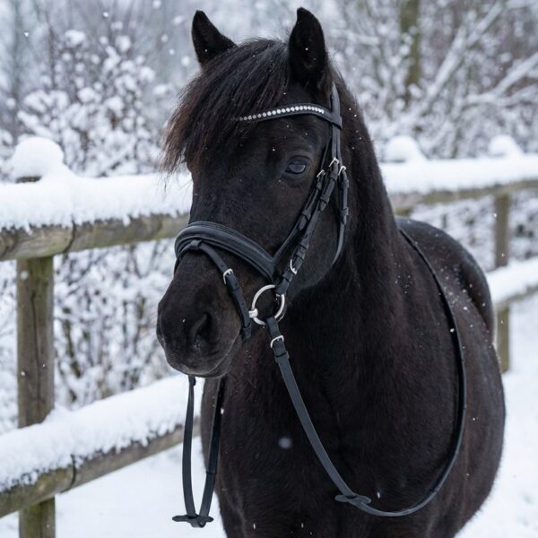 Трензельное оголовье для пони Laura HorsePlanet