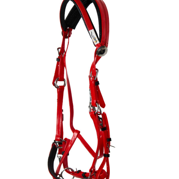 Комплект уздечка с мартингалом HorsePlanet