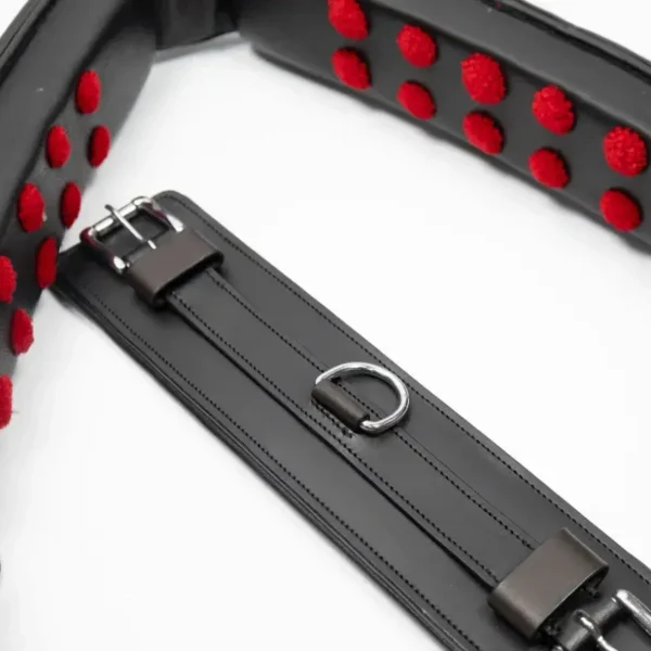 Тренинг система Lammert Haanstra