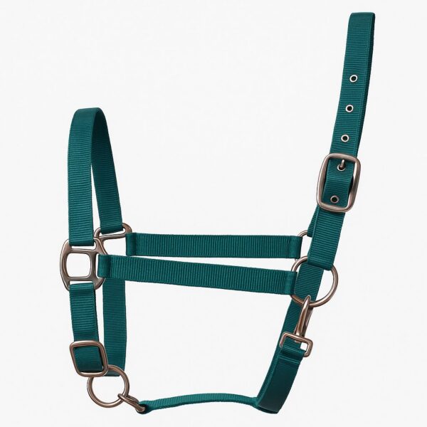 Нейлоновый недоуздок Caiden