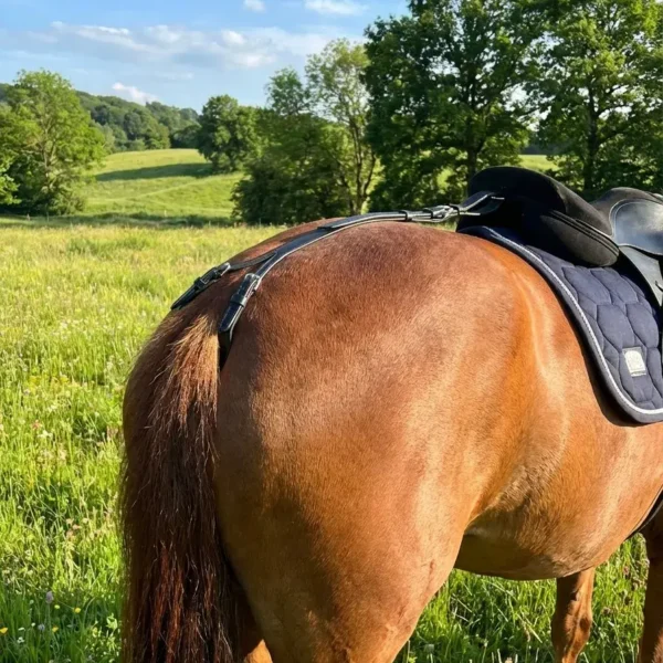 Кожаный подхвостник HorsePlanet