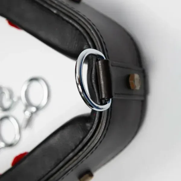 Тренинг система Lammert Haanstra