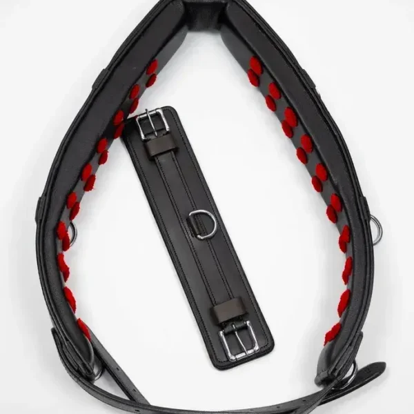 Тренинг система Lammert Haanstra