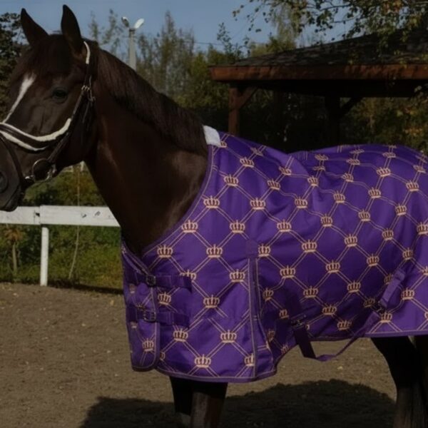 Дождевая попона CROWN HorsePlanet 50grm Фиолетовая