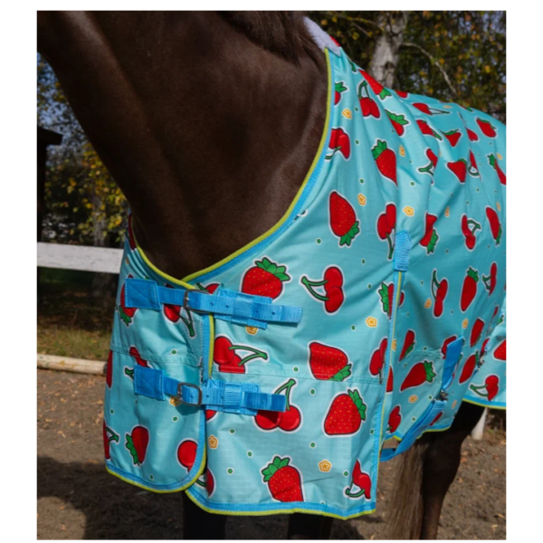 Дождевая попона fructis HorsePlanet