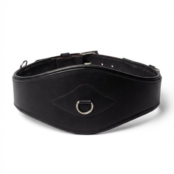 Кожаная подпруга Charm HorsePlanet