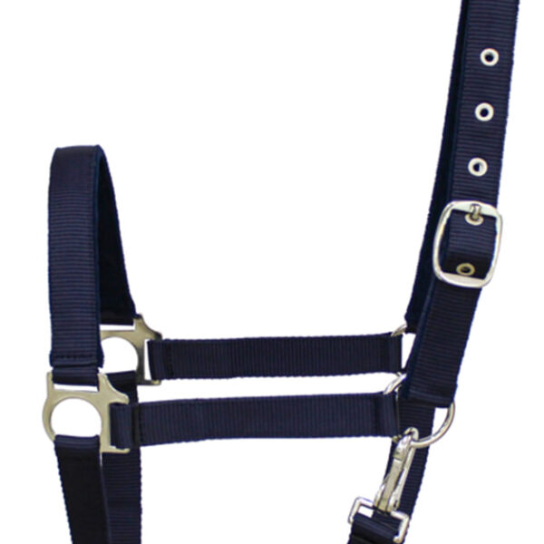 Нейлоновый недоуздок COLT