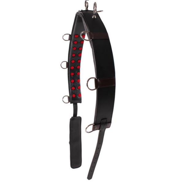 Тренинг система Lammert Haanstra