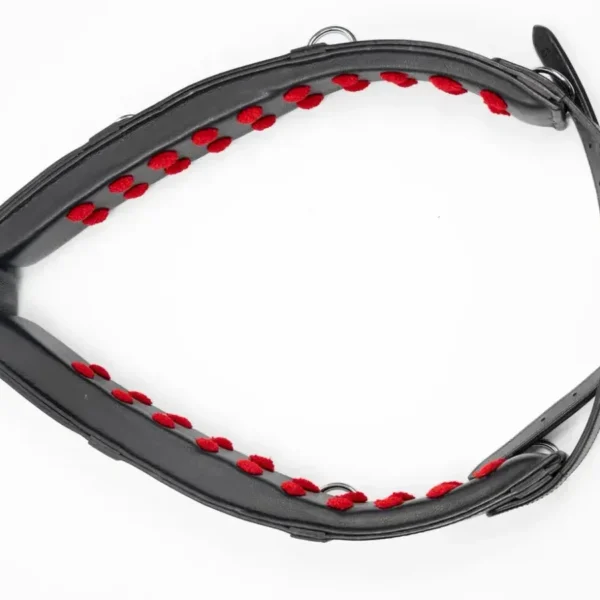 Тренинг система Lammert Haanstra