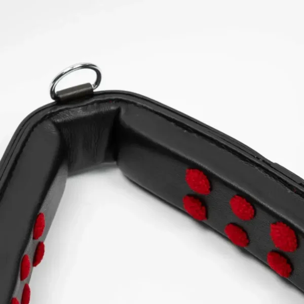 Тренинг система Lammert Haanstra