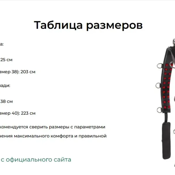 Тренинг система Lammert Haanstra