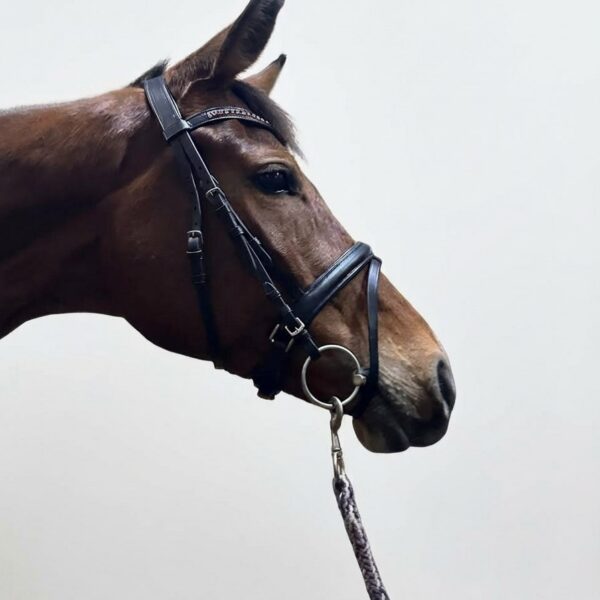 Трензельное оголовье Angela HorsePlanet