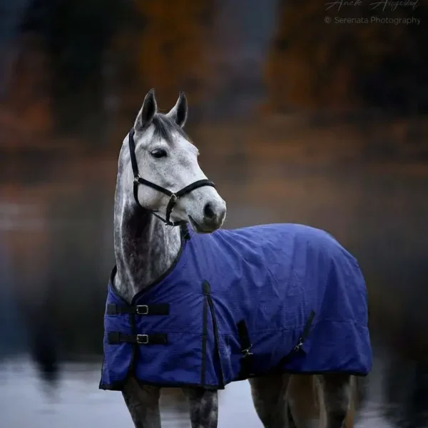 Попона стоковая синяя