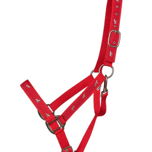 Недоуздок с нейлоновым чомбуром NETA