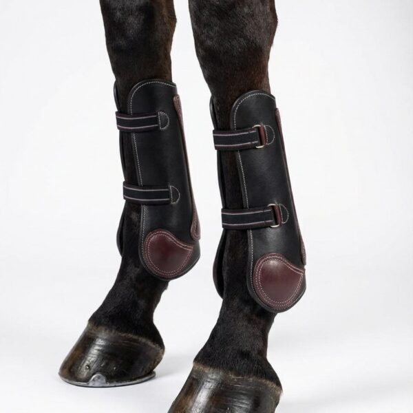 Кожаные ногавки на гвоздиках HorsePlanet
