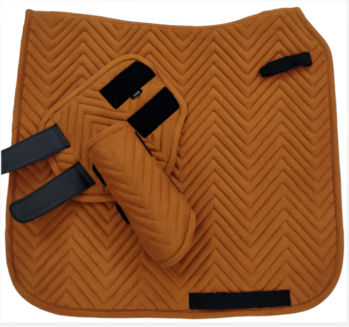 Комплект выездковый Saint