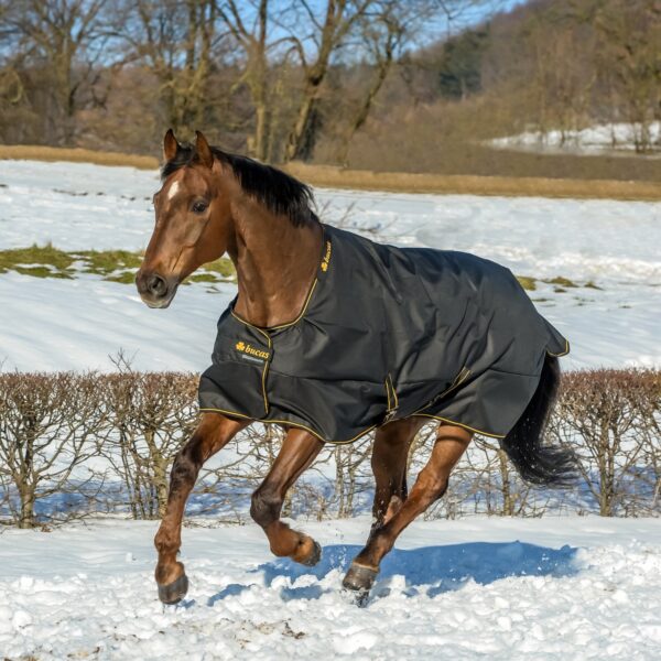 Попона стоковая черная