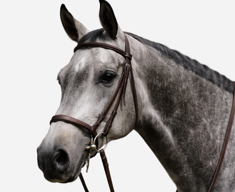 Уздечки и оголовья